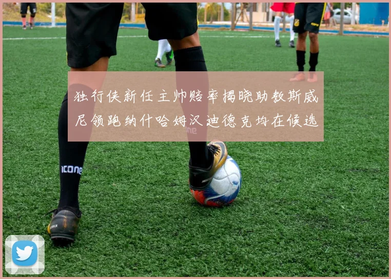 独行侠新任主帅赔率揭晓助教斯威尼领跑纳什哈姆汉迪德克均在候选之中