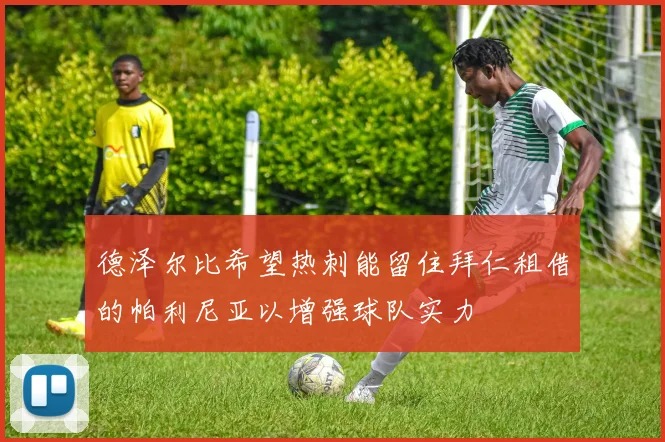 德泽尔比希望热刺能留住拜仁租借的帕利尼亚以增强球队实力