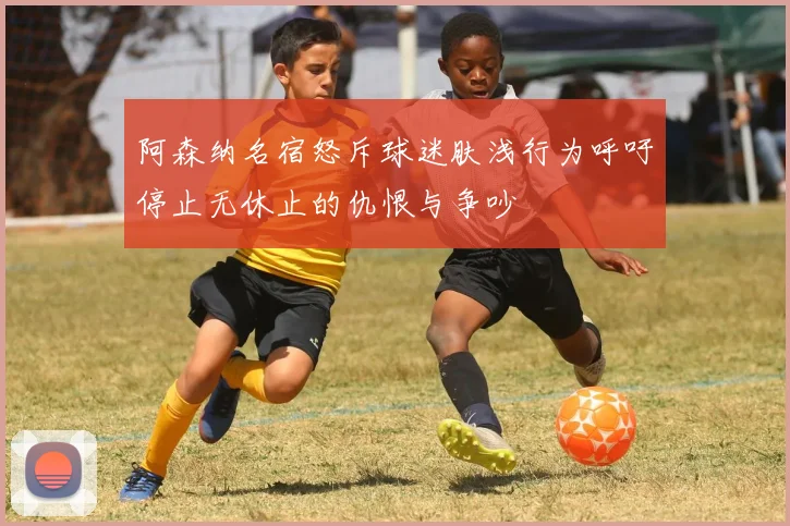 阿森纳名宿怒斥球迷肤浅行为呼吁停止无休止的仇恨与争吵