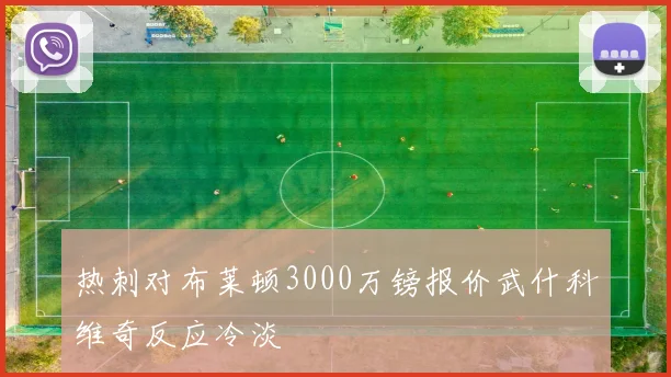 热刺对布莱顿3000万镑报价武什科维奇反应冷淡